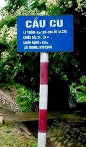 Images 10